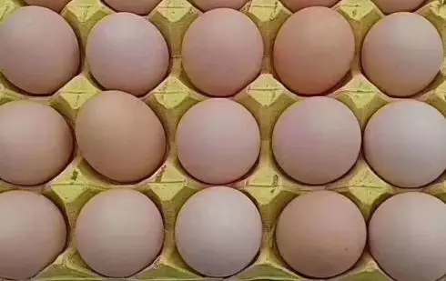 澳门十大电子游戏入口网站