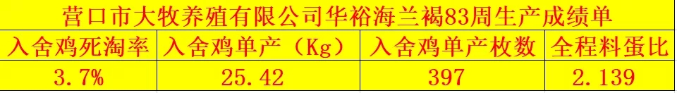 澳门十大电子游戏入口网站