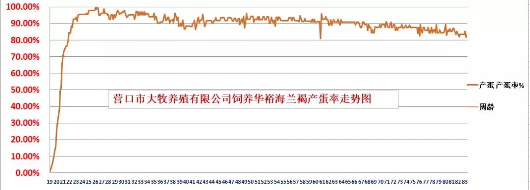 澳门十大电子游戏入口网站