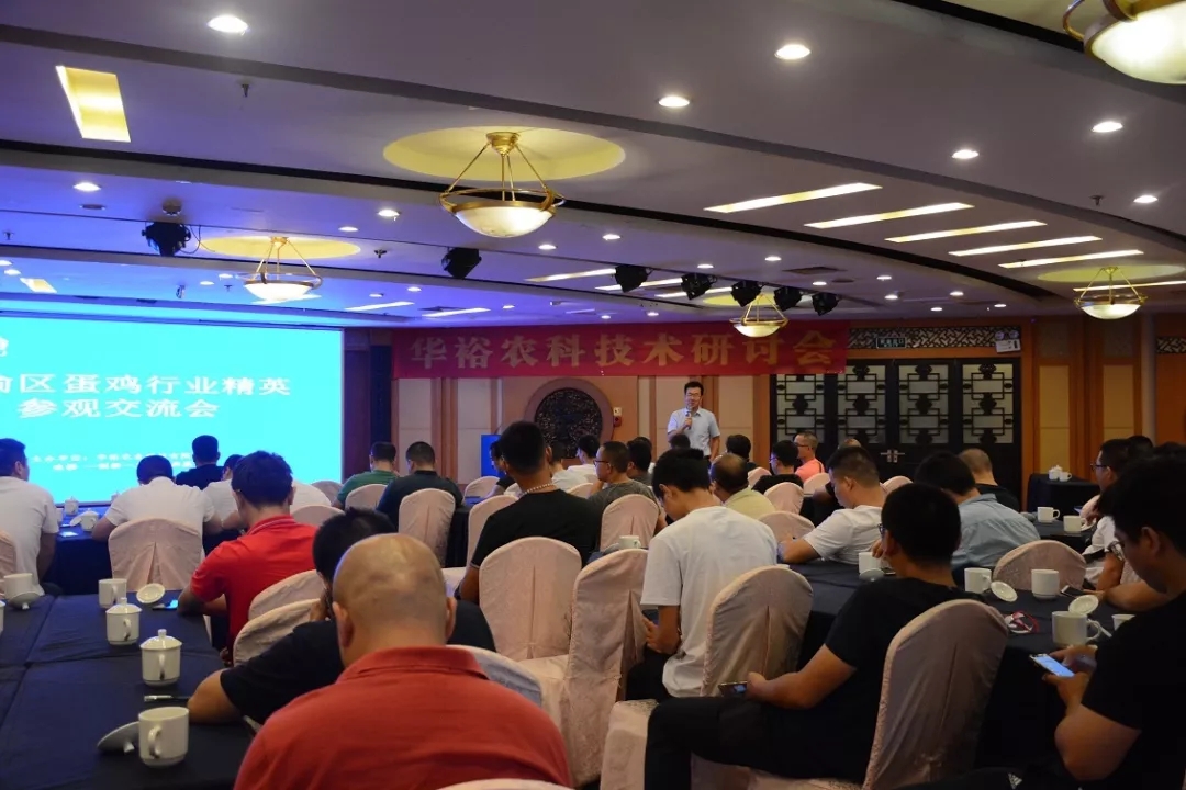 澳门十大电子游戏入口网站