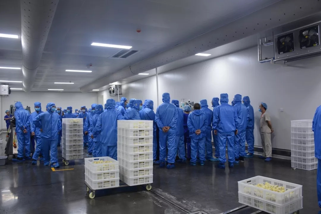 澳门十大电子游戏入口网站