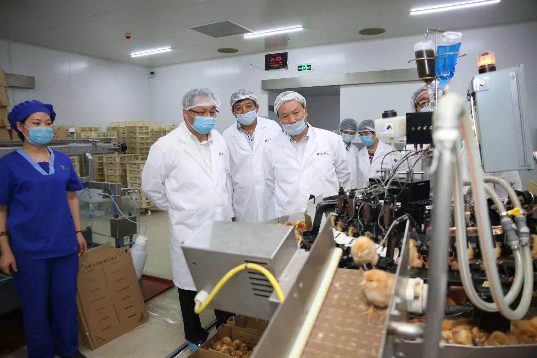 澳门十大电子游戏入口网站