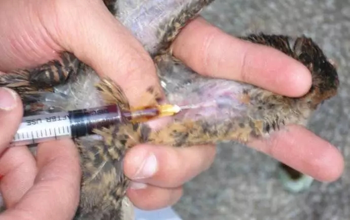 澳门十大电子游戏入口网站