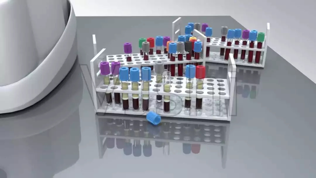 澳门十大电子游戏入口网站