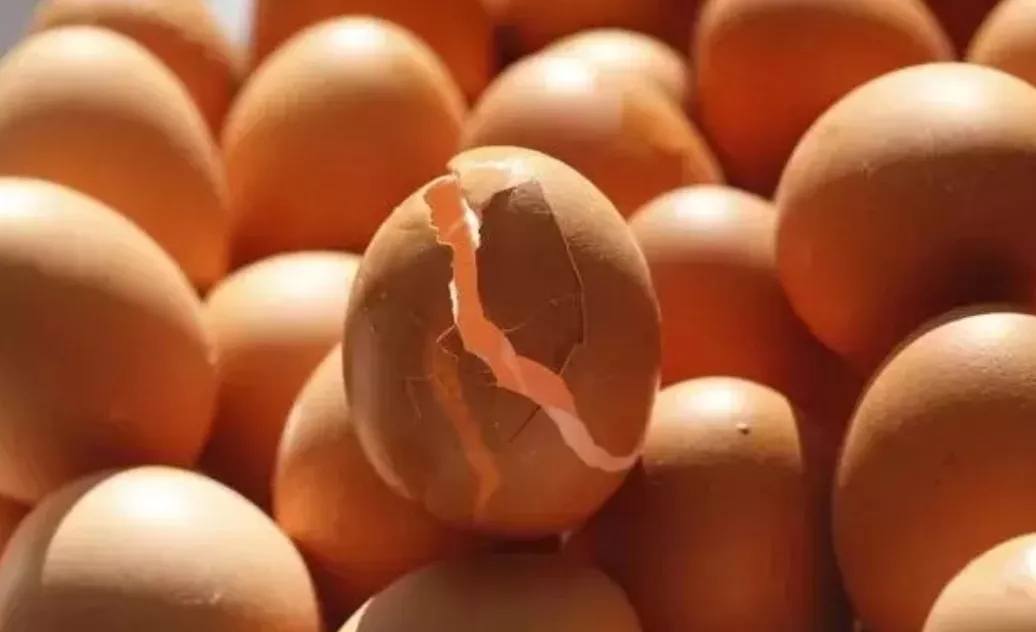 澳门十大电子游戏入口网站