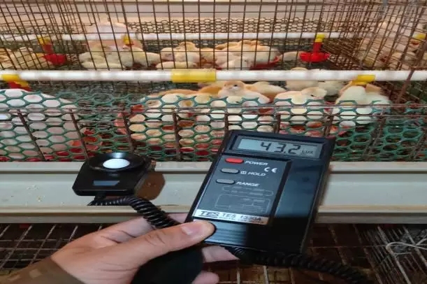 澳门十大电子游戏入口网站