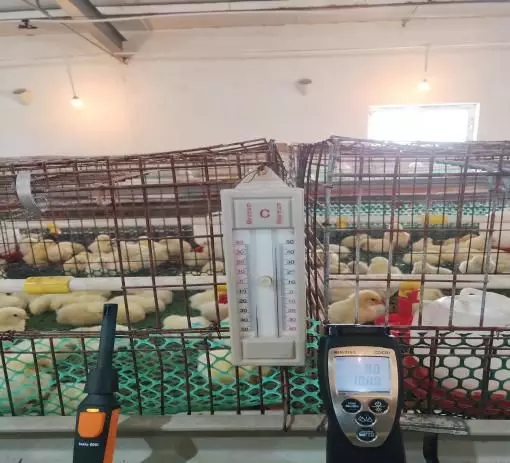 澳门十大电子游戏入口网站