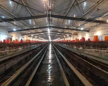 澳门十大电子游戏入口网站