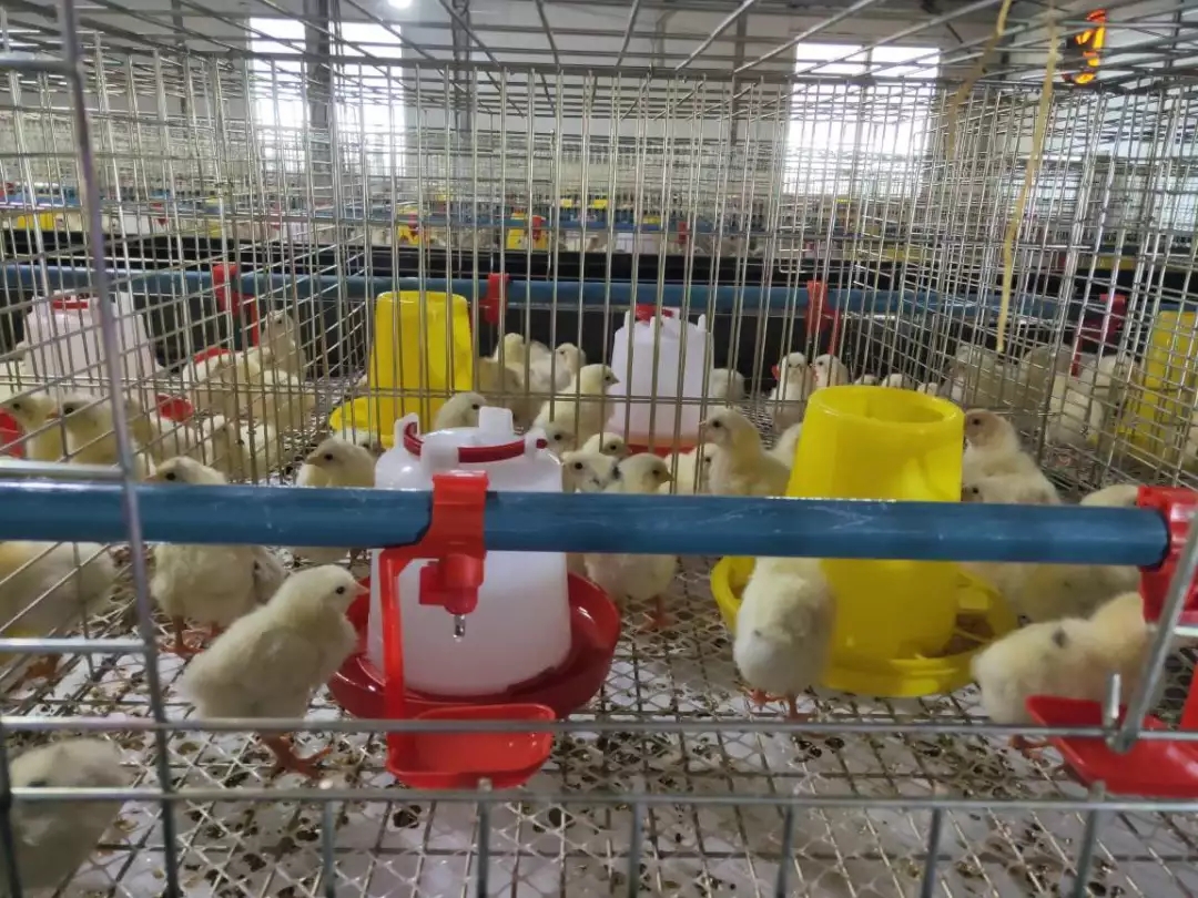 澳门十大电子游戏入口网站