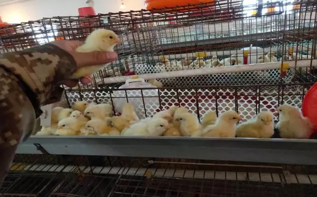 澳门十大电子游戏入口网站