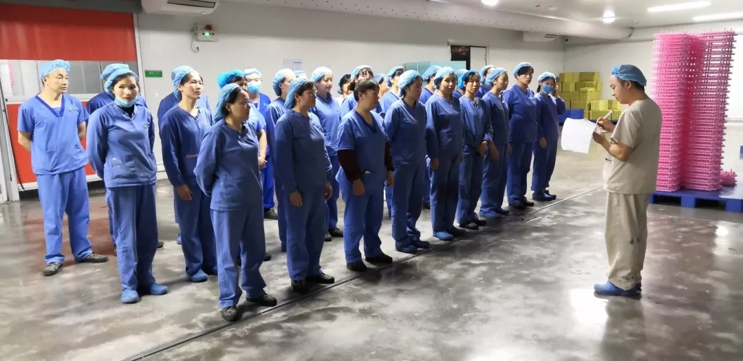 澳门十大电子游戏入口网站