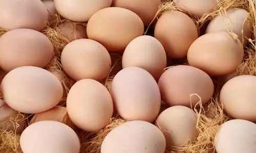 澳门十大电子游戏入口网站