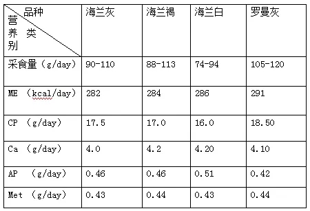 澳门十大电子游戏入口网站
