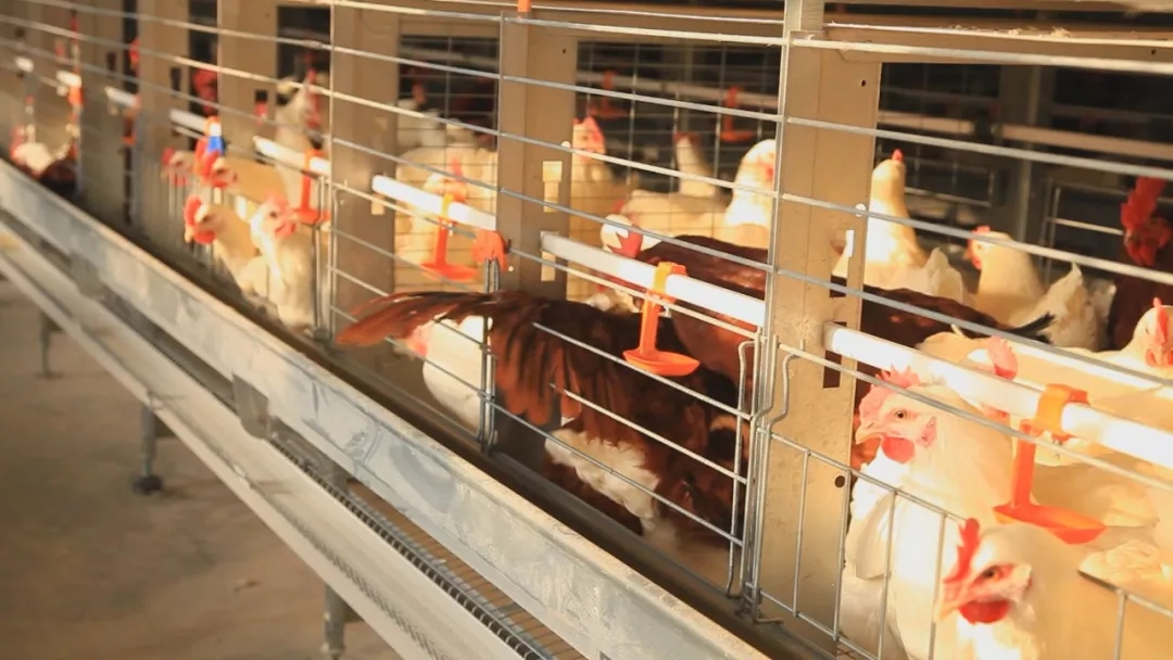 澳门十大电子游戏入口网站