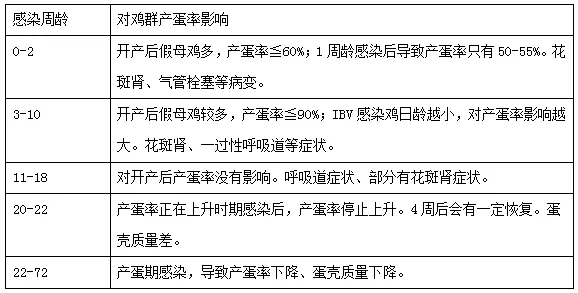 澳门十大电子游戏入口网站