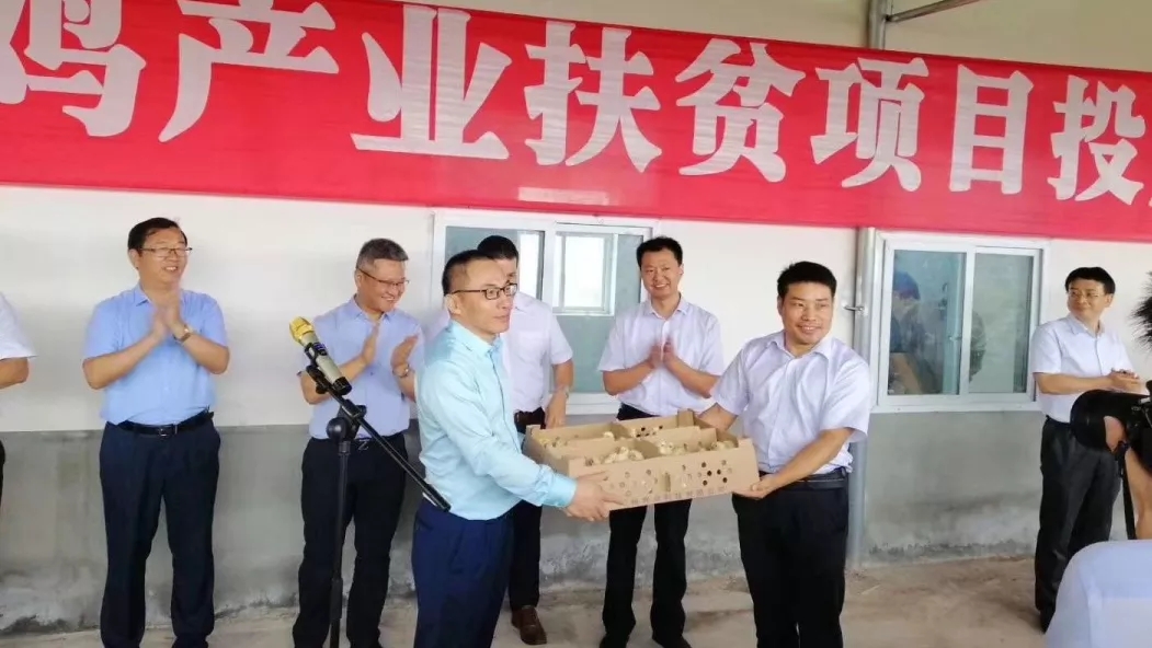 澳门十大电子游戏入口网站