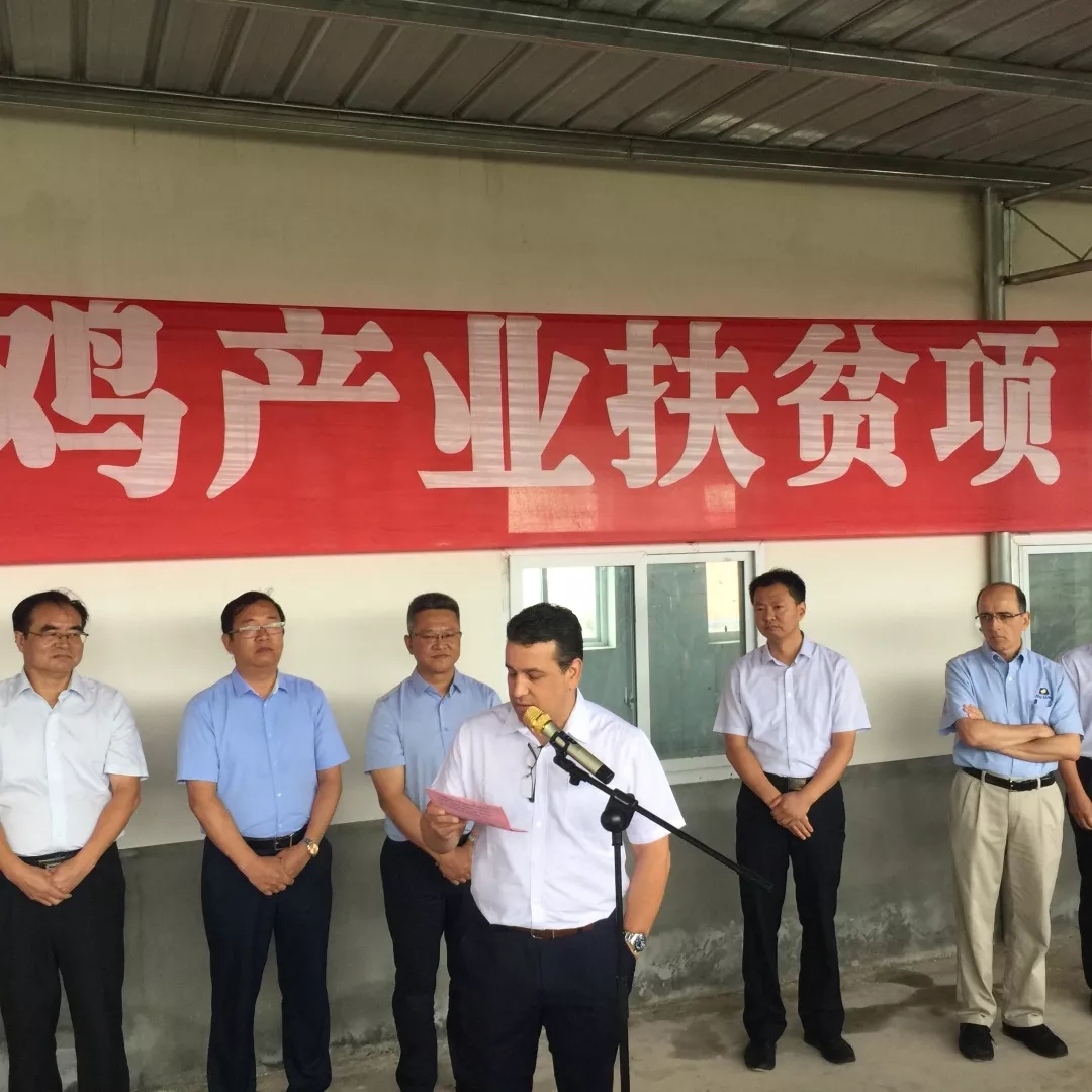 澳门十大电子游戏入口网站