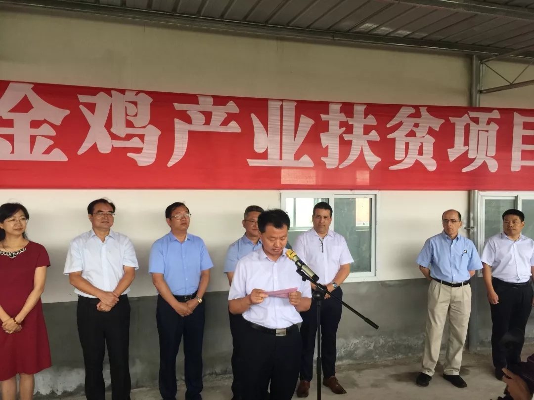 澳门十大电子游戏入口网站