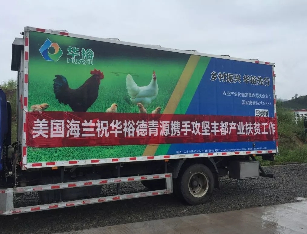 澳门十大电子游戏入口网站