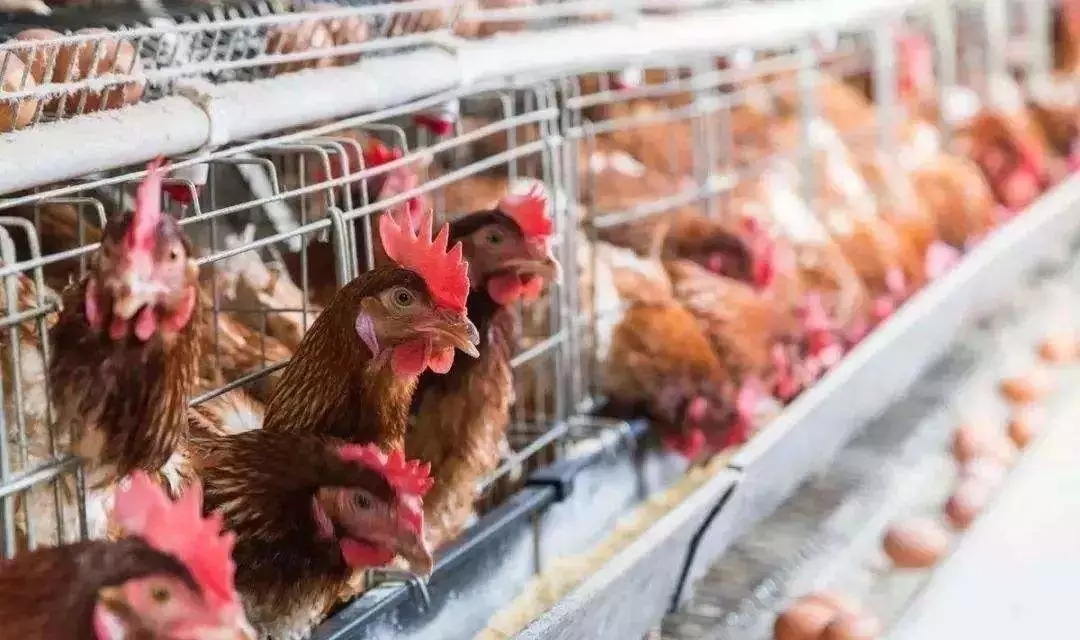 澳门十大电子游戏入口网站