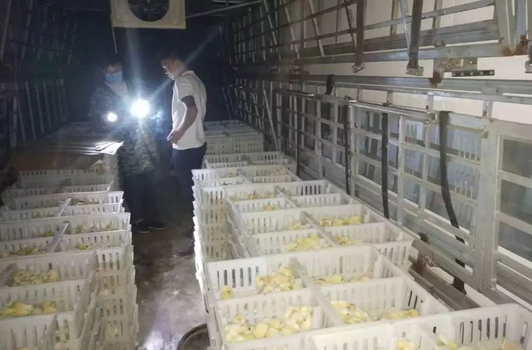 澳门十大电子游戏入口网站