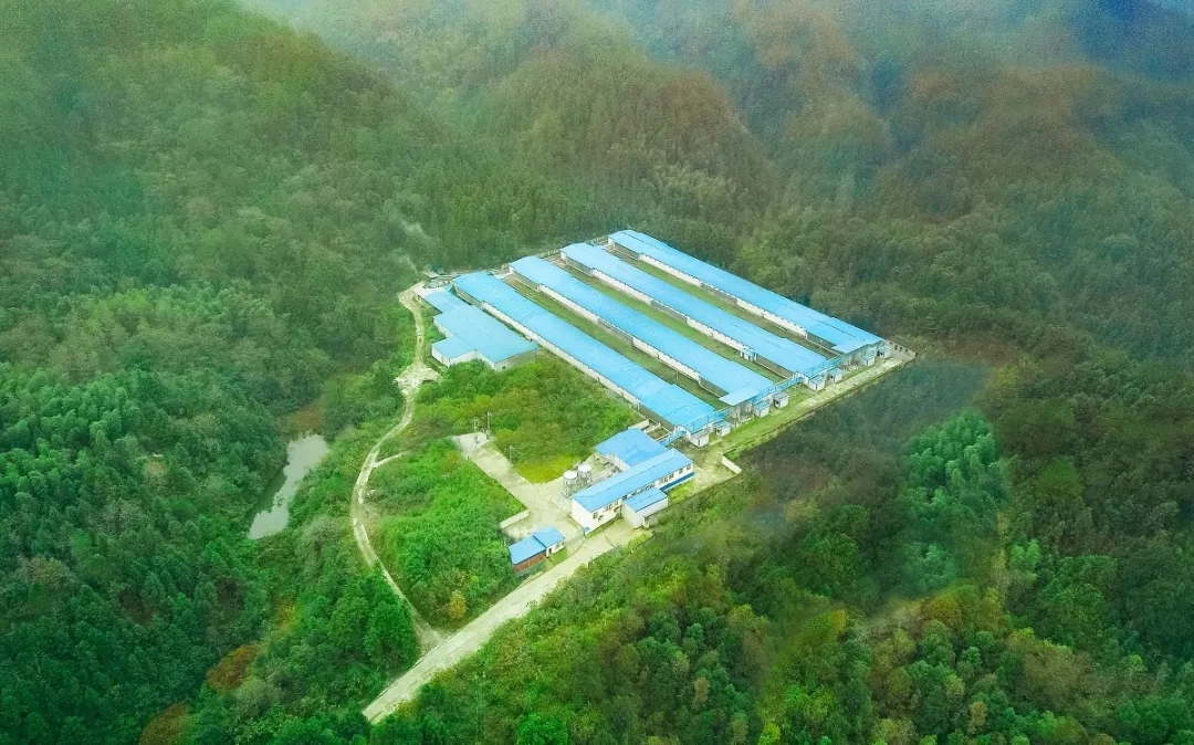 澳门十大电子游戏入口网站