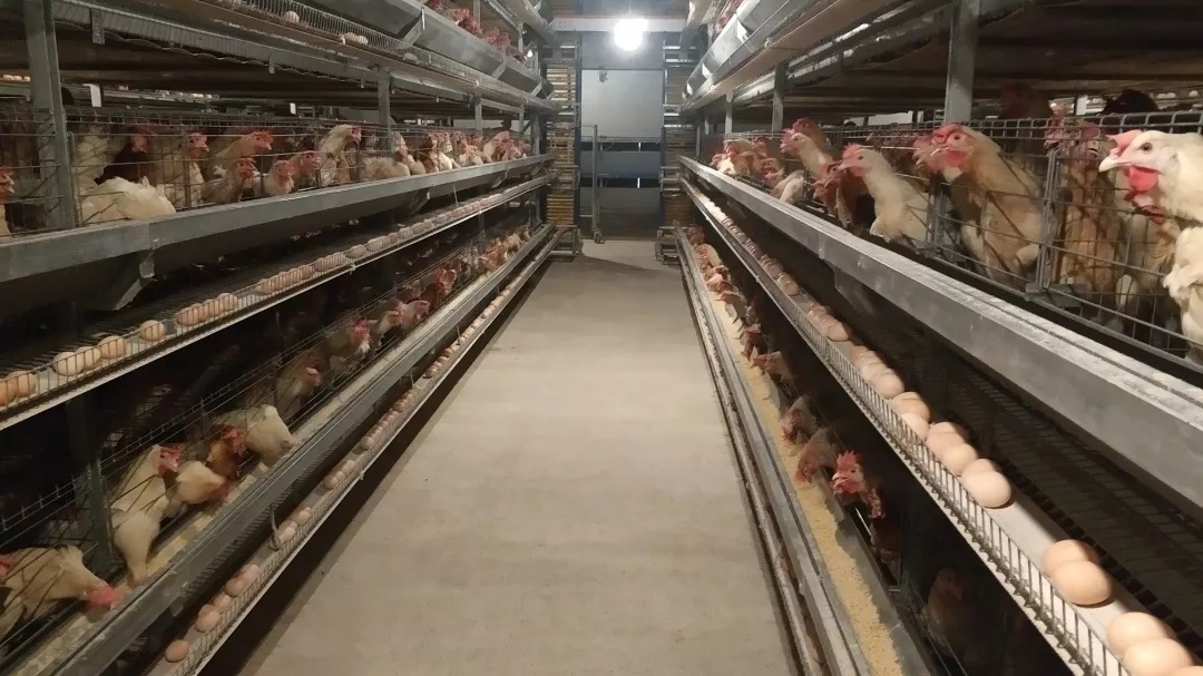 澳门十大电子游戏入口网站