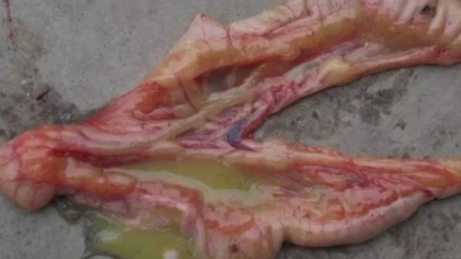 澳门十大电子游戏入口网站