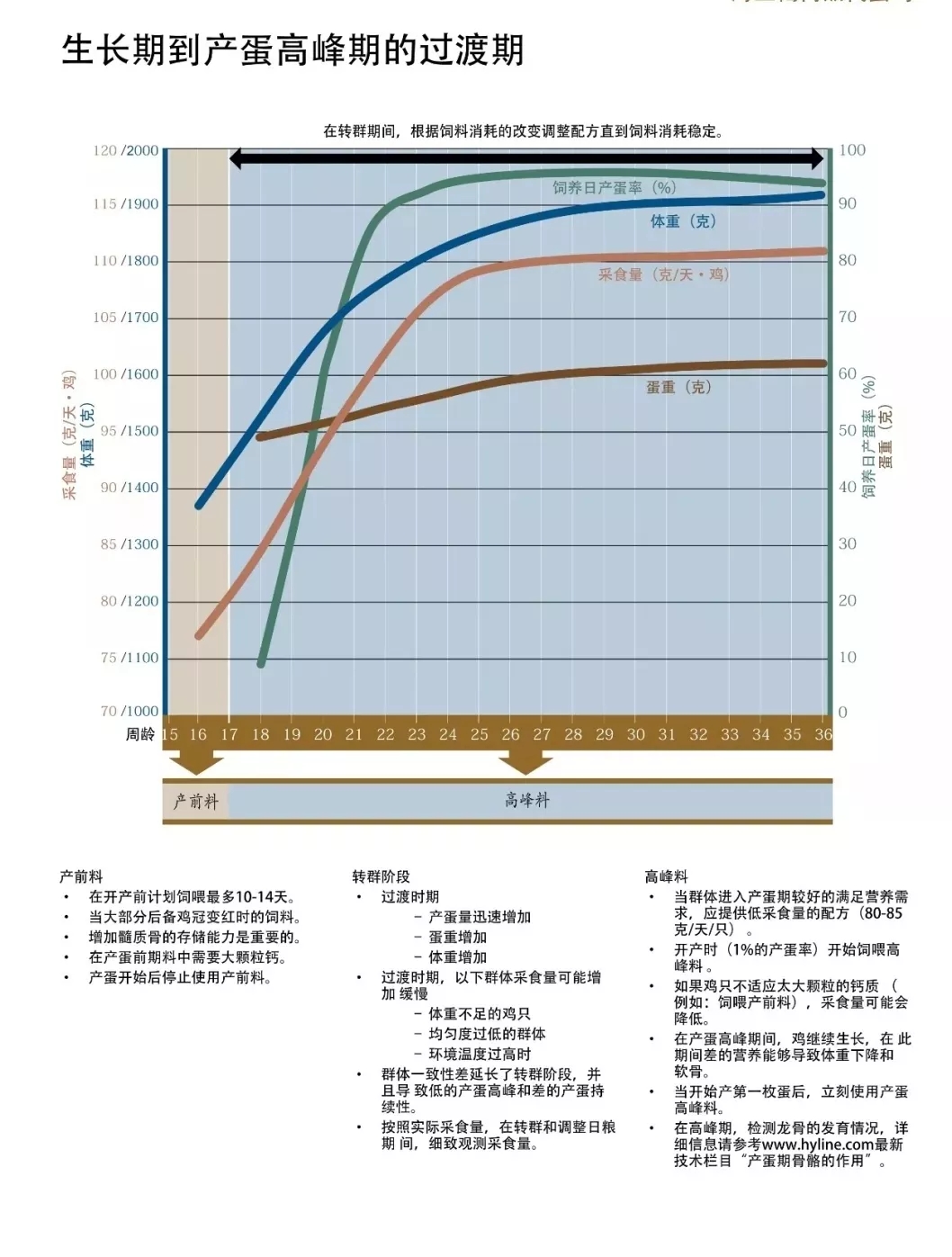 澳门十大电子游戏入口网站