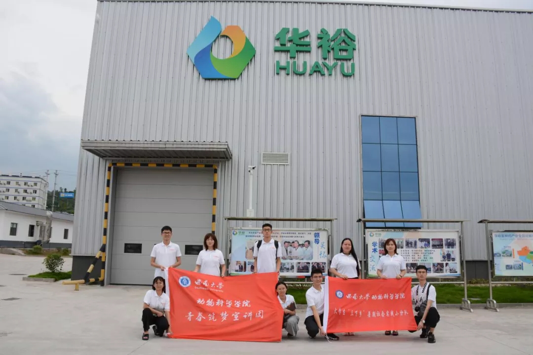 澳门十大电子游戏入口网站