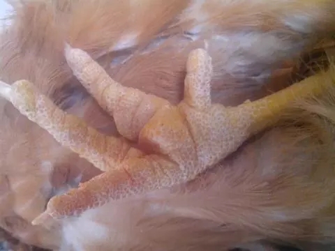 澳门十大电子游戏入口网站