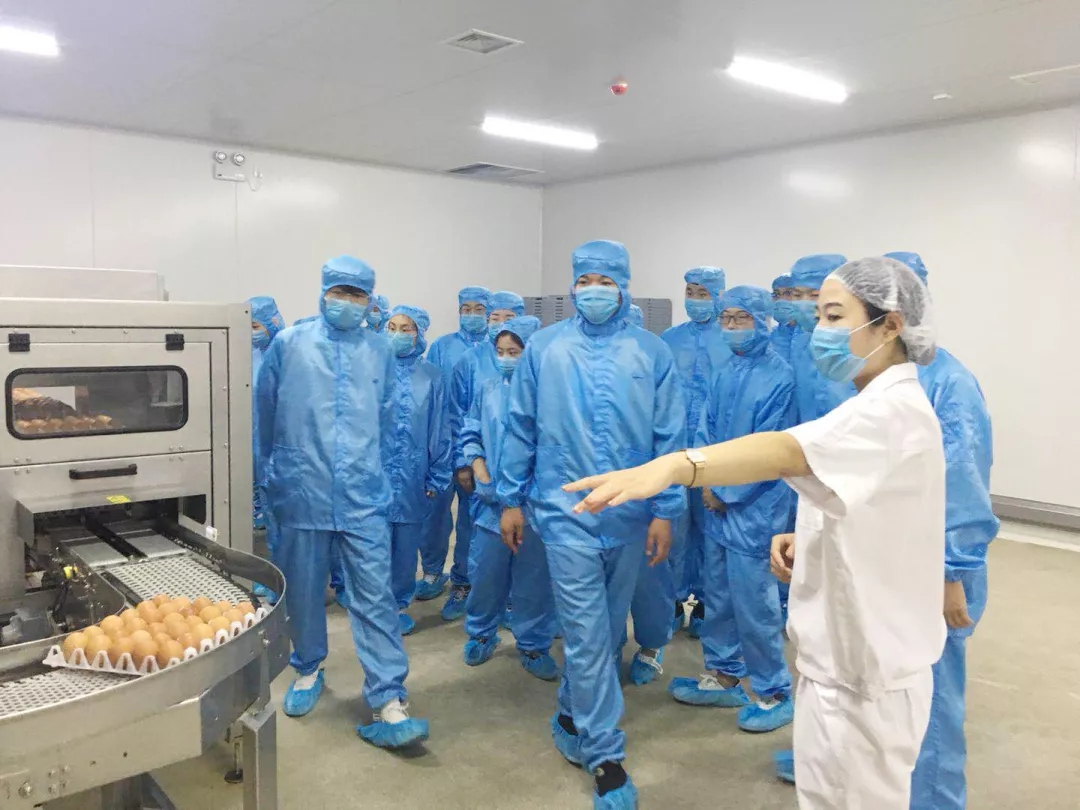 澳门十大电子游戏入口网站