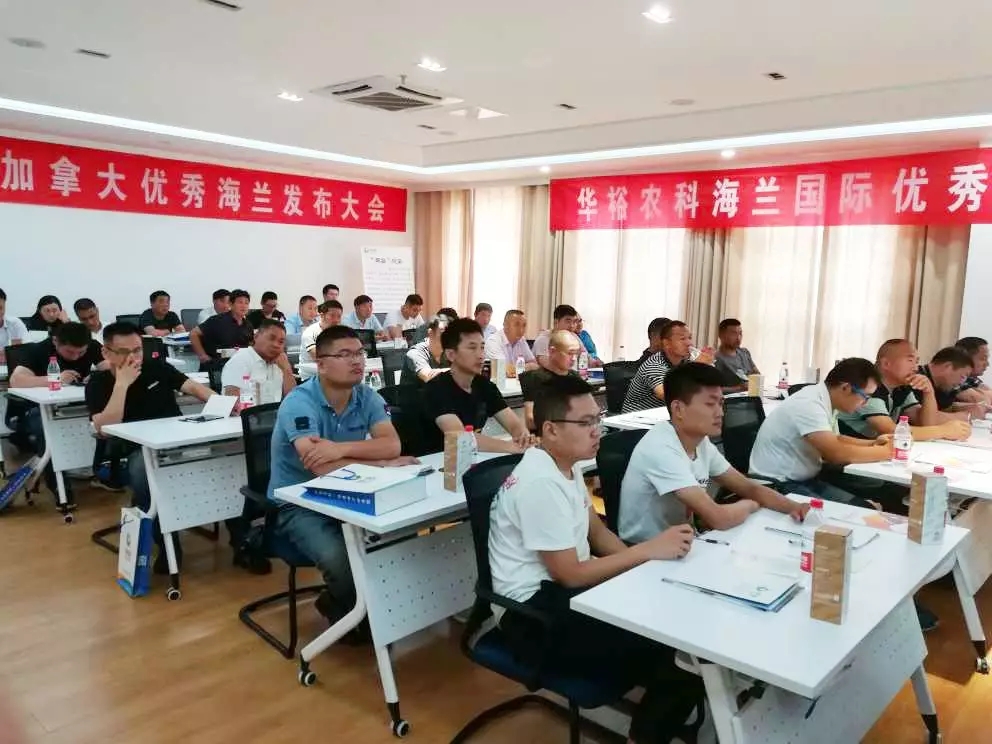 澳门十大电子游戏入口网站