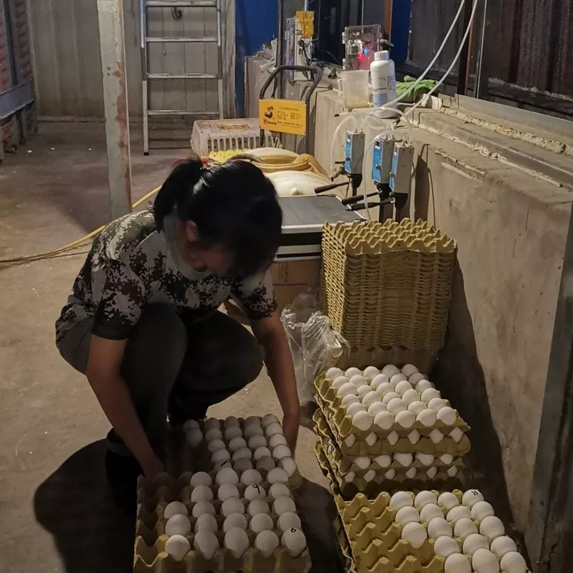 澳门十大电子游戏入口网站