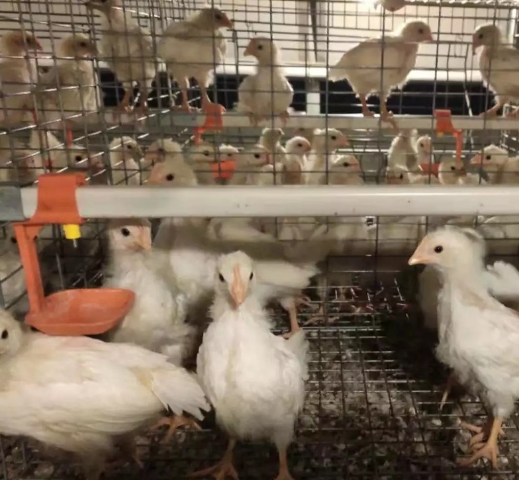 澳门十大电子游戏入口网站