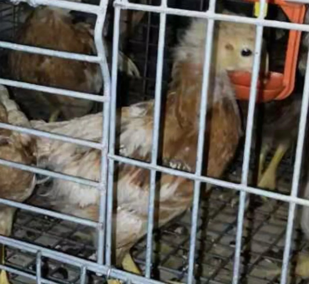 澳门十大电子游戏入口网站