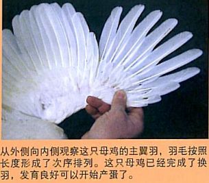 澳门十大电子游戏入口网站