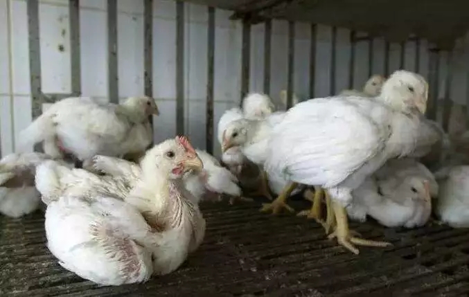 澳门十大电子游戏入口网站