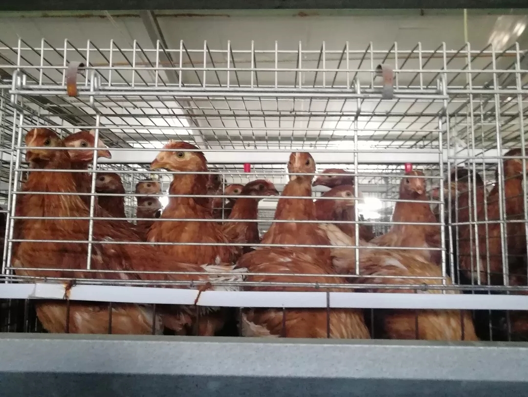 澳门十大电子游戏入口网站