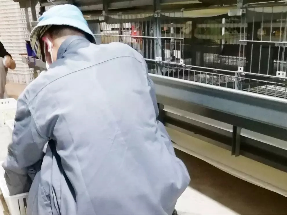 澳门十大电子游戏入口网站