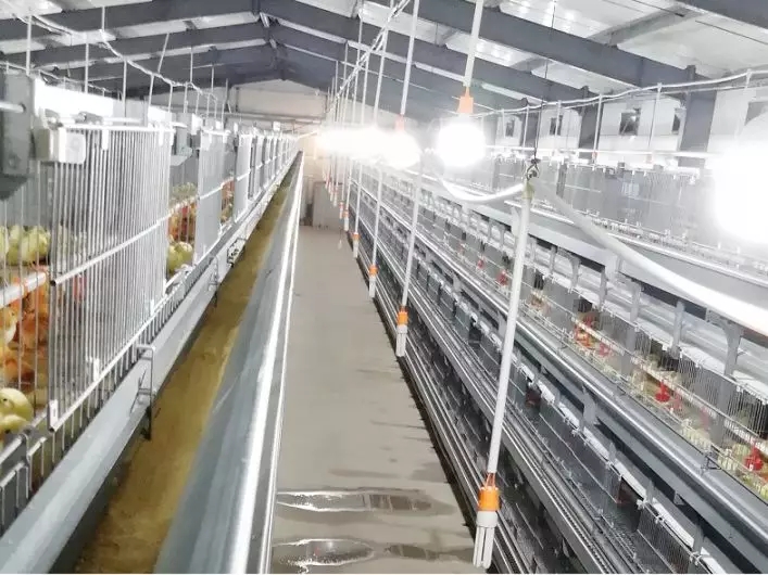 澳门十大电子游戏入口网站