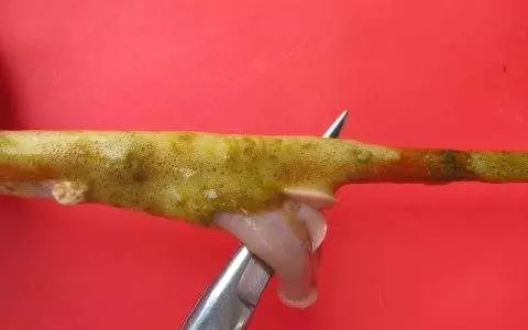 澳门十大电子游戏入口网站