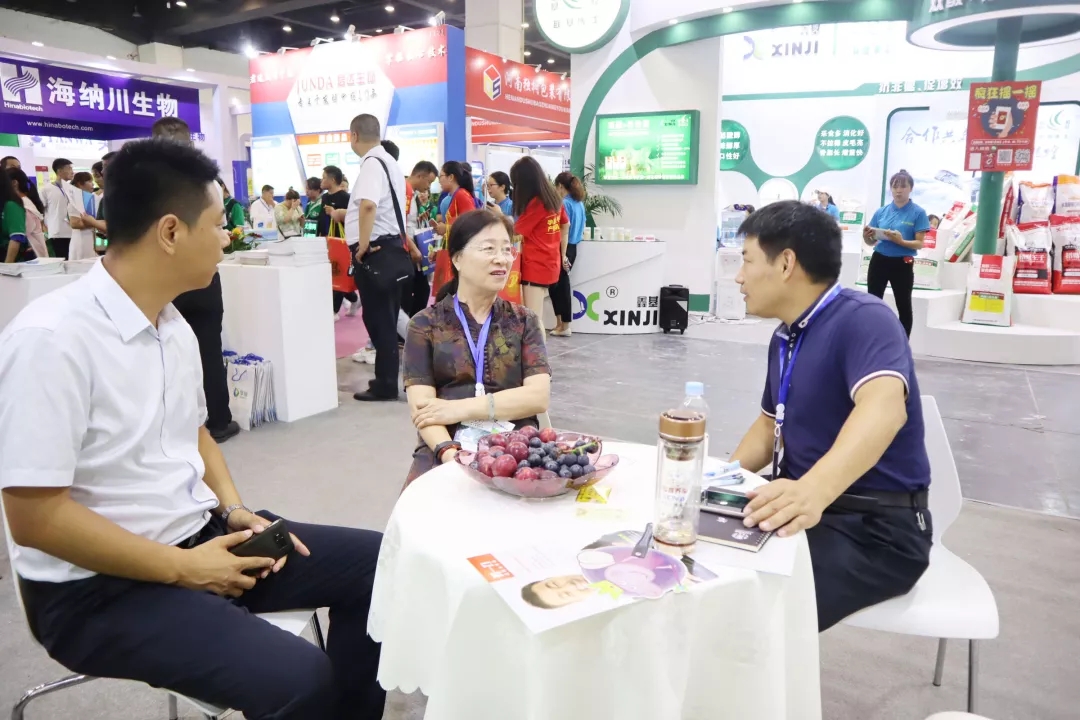 澳门十大电子游戏入口网站