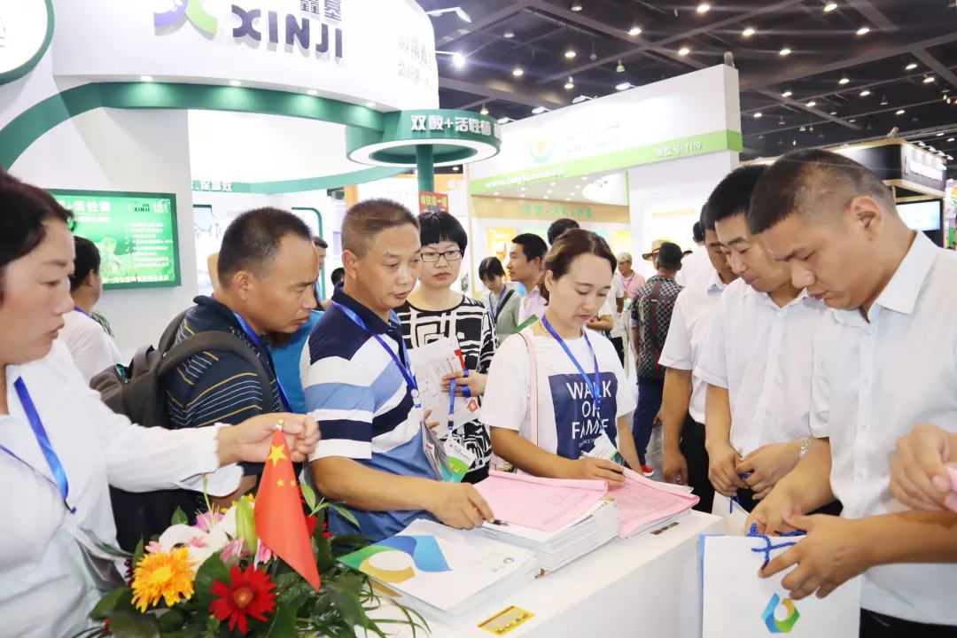 澳门十大电子游戏入口网站