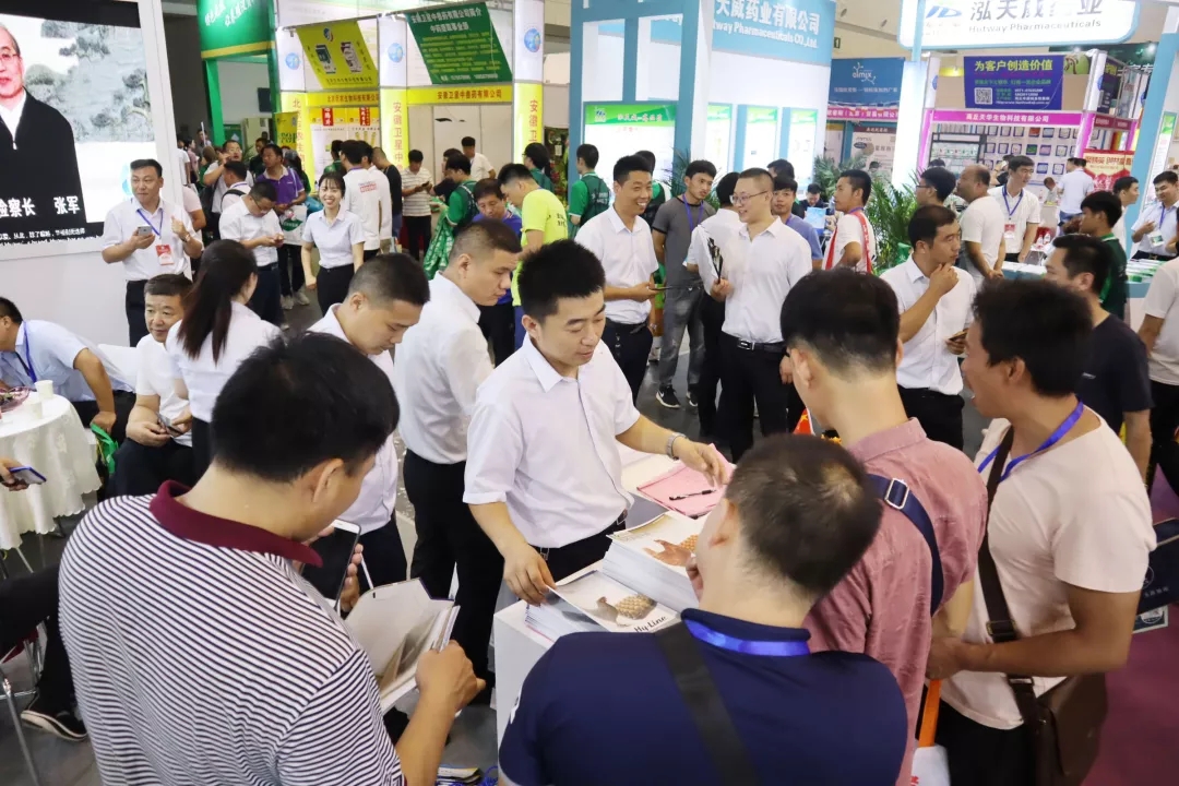 澳门十大电子游戏入口网站