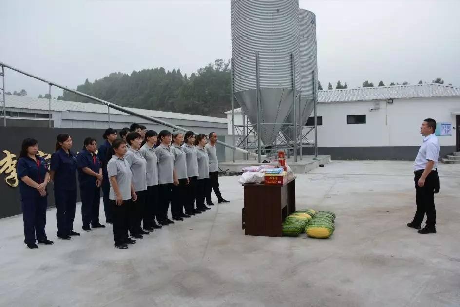 澳门十大电子游戏入口网站