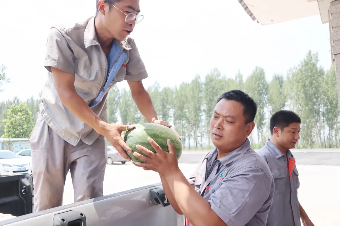 澳门十大电子游戏入口网站