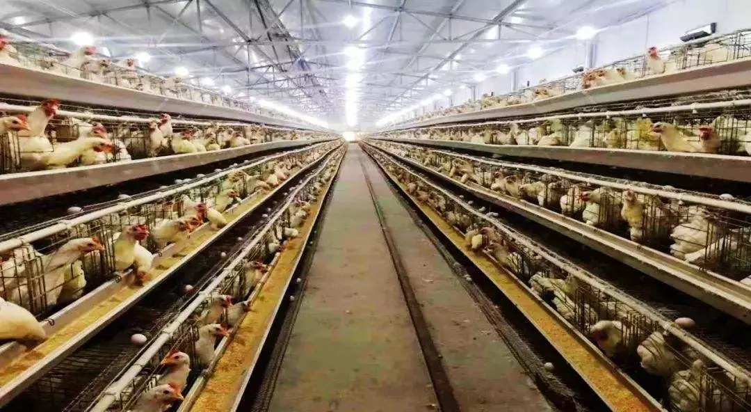 澳门十大电子游戏入口网站