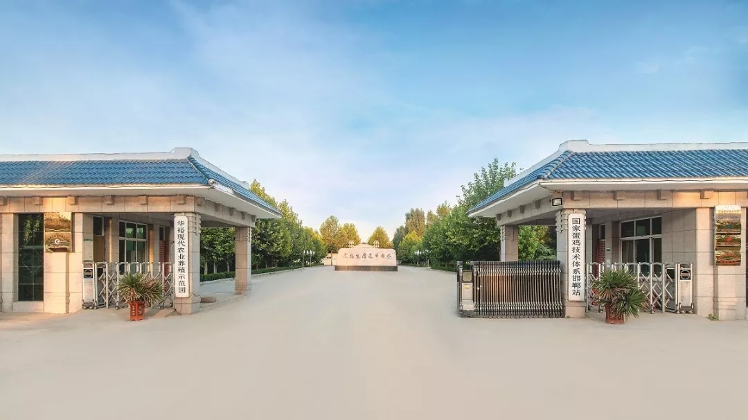 澳门十大电子游戏入口网站