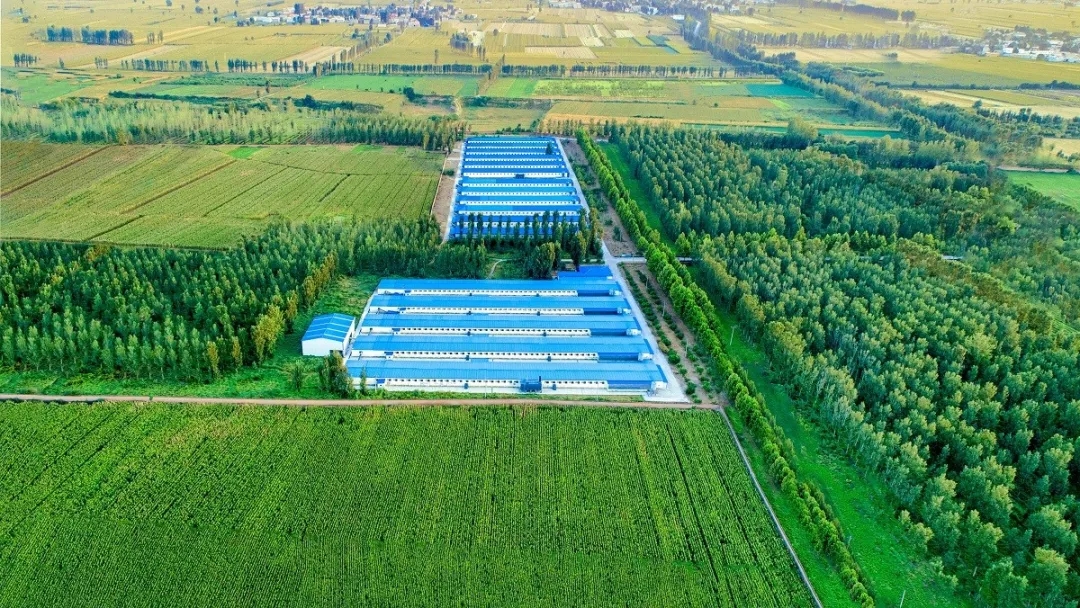 澳门十大电子游戏入口网站